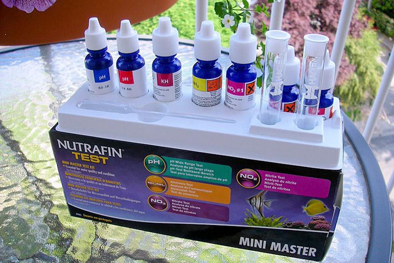 8 Best Aquarium Water Test Kits for Beginners in 2026