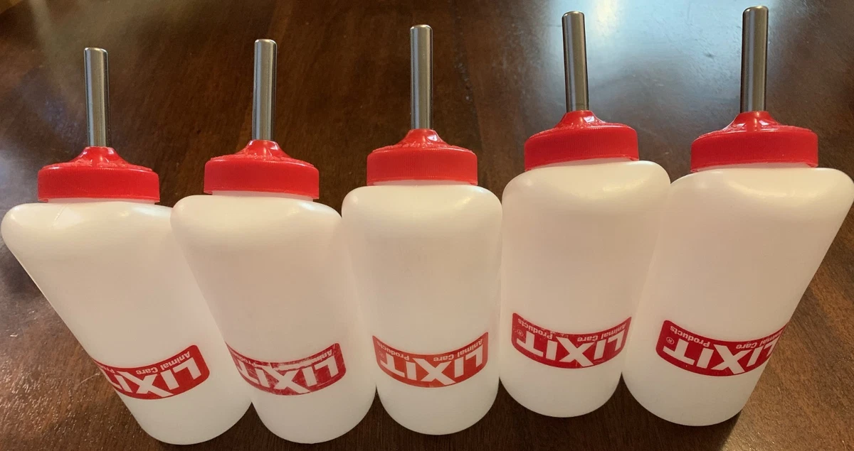 8 Best Small Animal Water Bottles Leak Proof in 2026